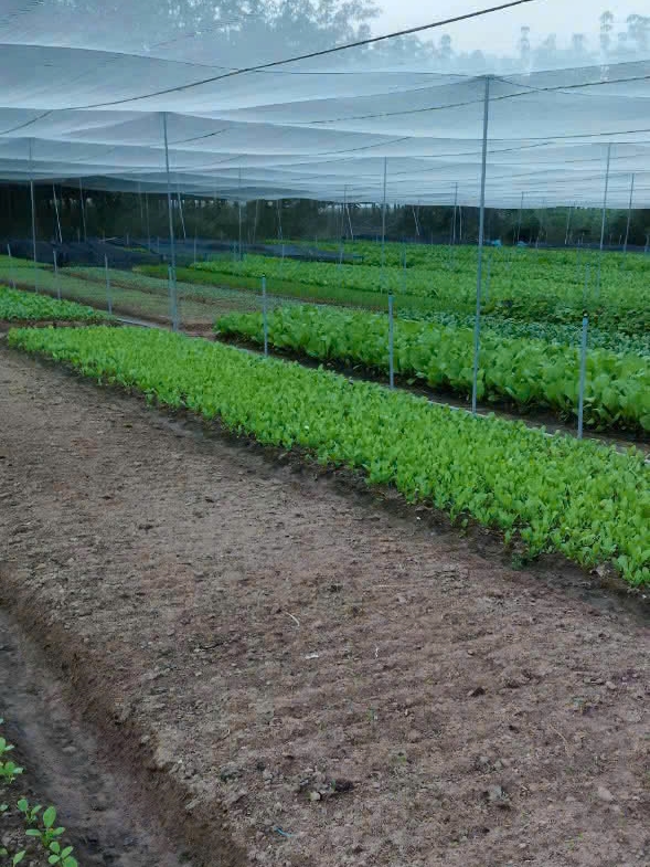 CÔNG TY TNHH THỰC PHẨM HAPPY FARM